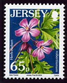 Jersey 2005 Wild Flowers.65p.jpg
