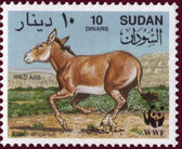 Sudan 19940715 Equus africanus c.jpg