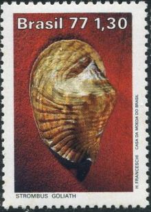 Brazil 1977 Molluscs b.jpg