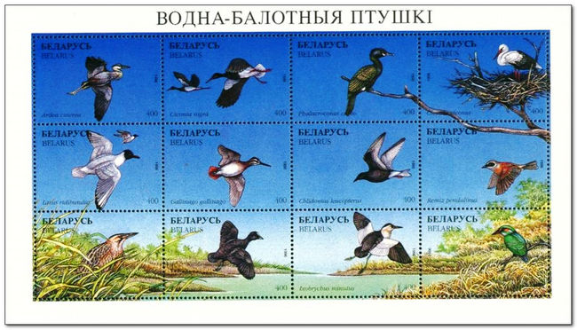 Belarus 1996 Birds 1slt.jpg