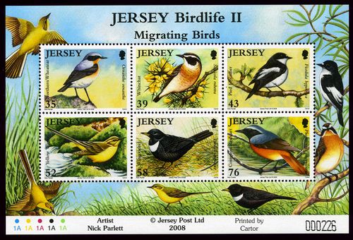 Jersey 2008 Migrating Birds.MS.jpg
