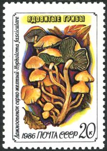 USSR 1986 Fungi 20.jpg