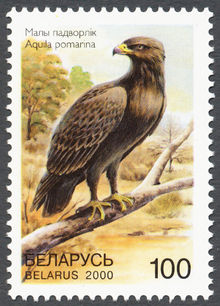 Belarus 2000 Rare Birds 100.jpg