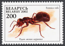Belarus 2002 Ants 200.jpg