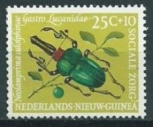 Netherlands New Guinea 1961 social care c.jpg