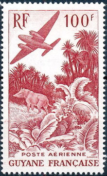 French Guiana 1947 Airmail - Local Motives 100F.jpg