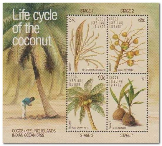 Cocos (Keeling) Islands 1988 Coconuts MS.jpg