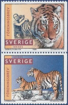 Sweden 1998 Tigers a.jpg