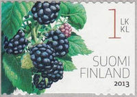 Finland 2013 Garden Fruits a.jpg