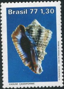 Brazil 1977 Molluscs c.jpg