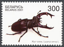 Belarus 2001 Beetles a 300.jpg