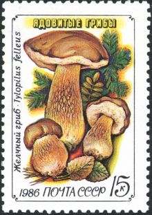USSR 1986 Fungi 15.jpg