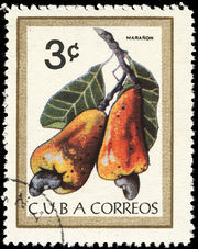 Cuba 1963 Fruits 3c.jpg