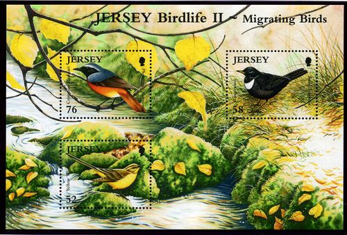 Jersey 2008 Migrating Birds.MS2.jpg