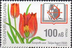 Bulgaria 1997 Endangered Plants of the Bulgarian Red Book 100Lv.jpg