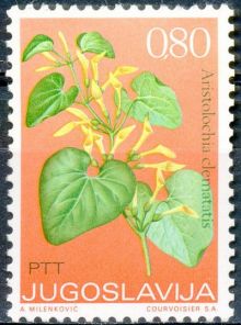 Yugoslavia 1973 Medicinal Plants 80p.jpg