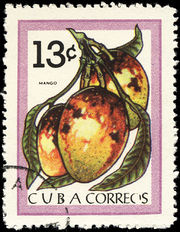 Cuba 1963 Fruits 13c.jpg