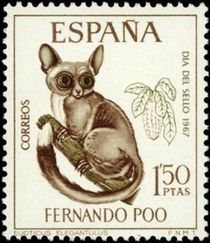 Fernando Poo 1967 Stamp Day - Small Mammals 1p50.jpg