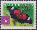 Australia 2004 Rain Forest Butterflies a.jpg