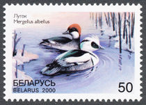 Belarus 2000 Rare Birds b 50.jpg