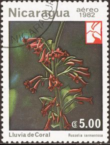 Nicaragua 1982 Airmail - Woodland Flowers 5cor.jpg
