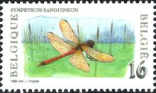 Belgium 1996 Nature - Insects a.jpg
