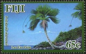Fiji20120426-endangered flora b.jpg
