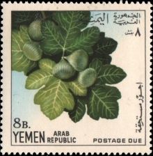 Yemen Arab Republic 1967 Fruits 8b.jpg
