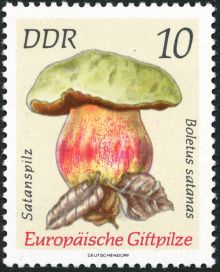 Germany-DDR 1974 Fungi 10.jpg
