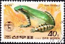 Korea (North) 1992 Frogs and Toads 40chB.jpg