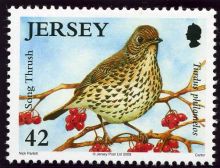 Jersey 2009 Song Birds.42p.jpg