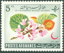 Afghanistan 1962 Afghan Red Crescent Society - Fruits and Blossoms 5ps.jpg