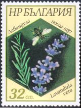 Bulgaria 1987 Bees and Plants 32s.jpg