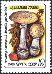 USSR 1986 Fungi 10.jpg