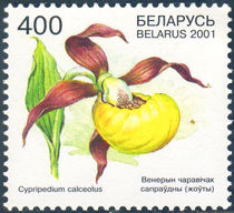 Belarus 2001 Endangered Plants 400.jpg
