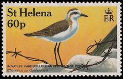 St Helena 1993 Wirebird WWF f.jpg