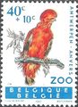 Belgium 1962 Animals of the Antwerp Zoo II - Birds 40c+10c.jpg