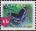 Australia 2004 Rain Forest Butterflies b.jpg