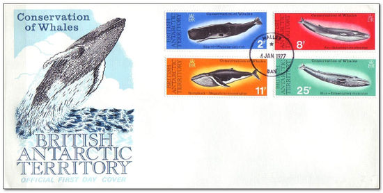 British Antarctic Territory 1977 Whale Conservation 1fdc.jpg