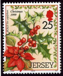 Jersey 1999 Christmas.21p.jpg