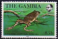Gambia 1982 c.jpg