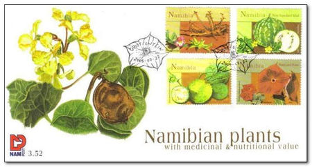 Namibia 2005 Medicinal Plants fdc.jpg