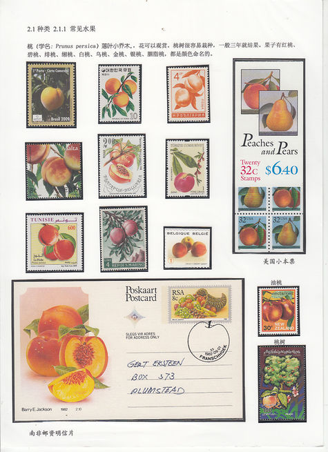 Fruit b1.jpg