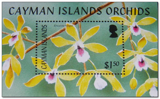 Cayman Islands 2005 Orchids fdc.jpg