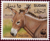 Sudan 19940715 Equus africanus d.jpg