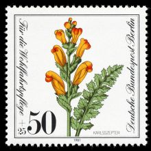 Germany-Berlin 1981 Charity Stamps - Flowers 50+25.jpg