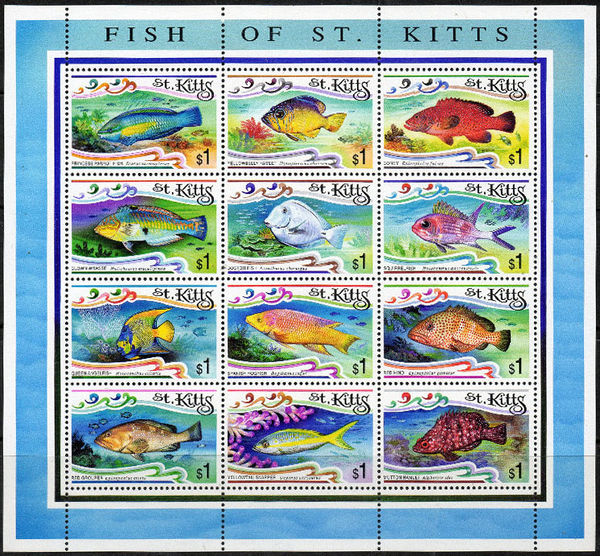 St Kitts 1997 Fish a.jpg