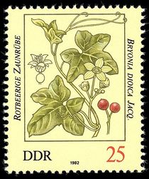 Germany-DDR 1982 Poisonous Plants 25pf.jpg