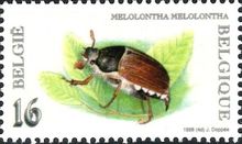 Belgium 1996 Nature - Insects d.jpg
